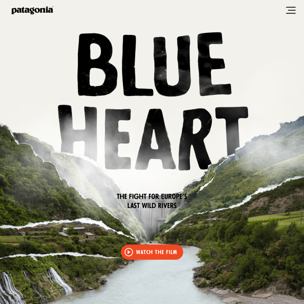 blue heart patagonia